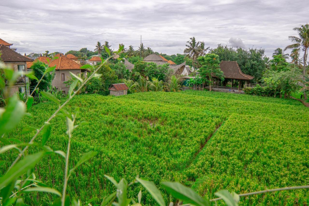 Artini Bisma Ubud Hotel Dış mekan fotoğraf